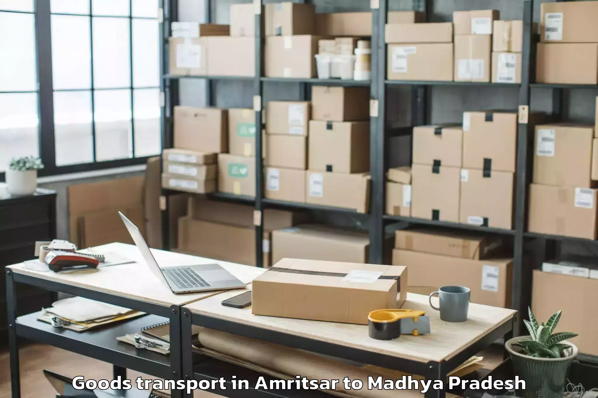 Amritsar to Mandsaur University Mandsaur Goods Transport Booking